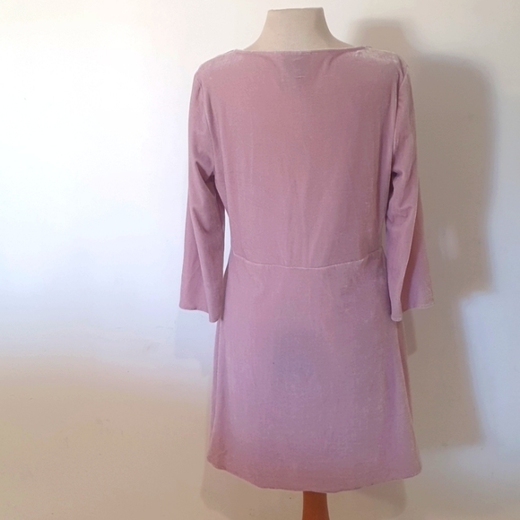 Alice in the Eve Size L (Approx 14) Soft Pink Velvet Feel Dress - Picture 5 of 8